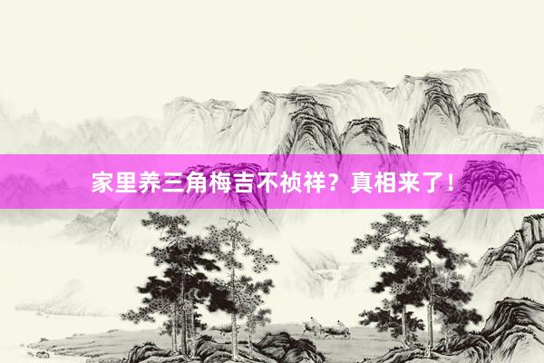 家里养三角梅吉不祯祥？真相来了！