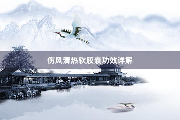伤风清热软胶囊功效详解